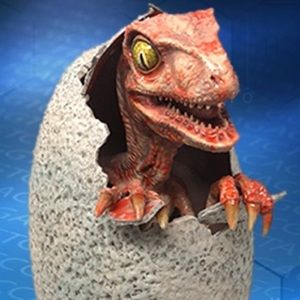 Meet your Posher, Natalia